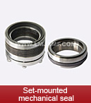 Set-mounted mechanical seal